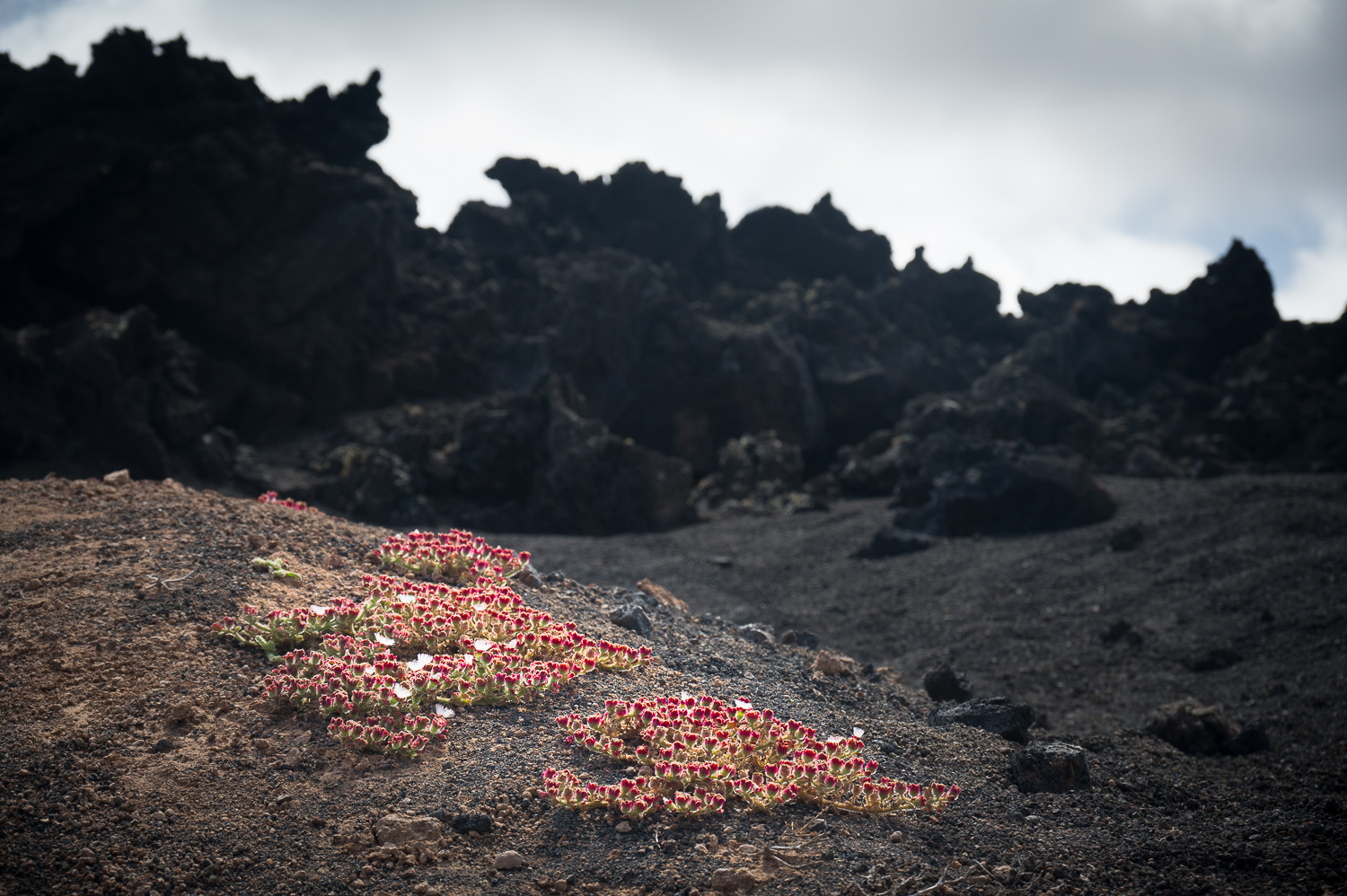 Caldera de Los Cuervos