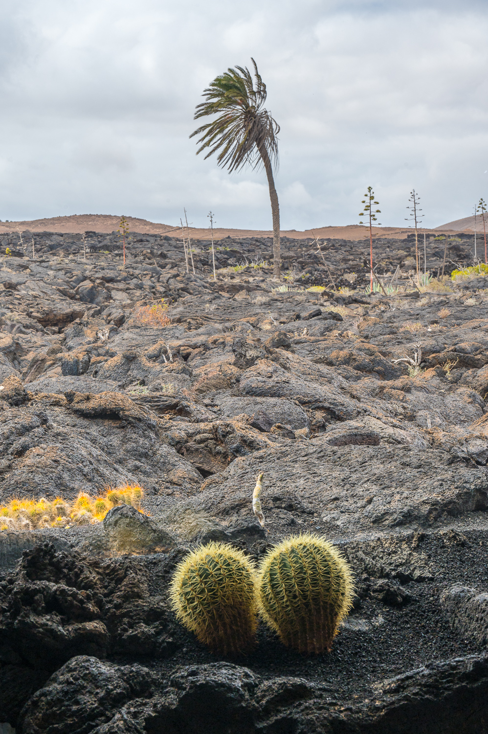 Maison de Cesar Manrique