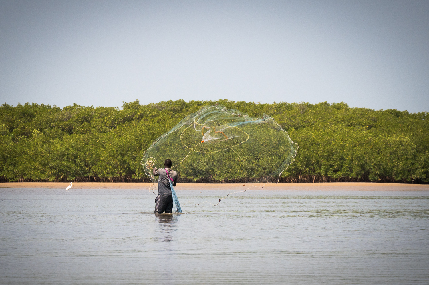 Pêcheur dans la lagune de La Somone