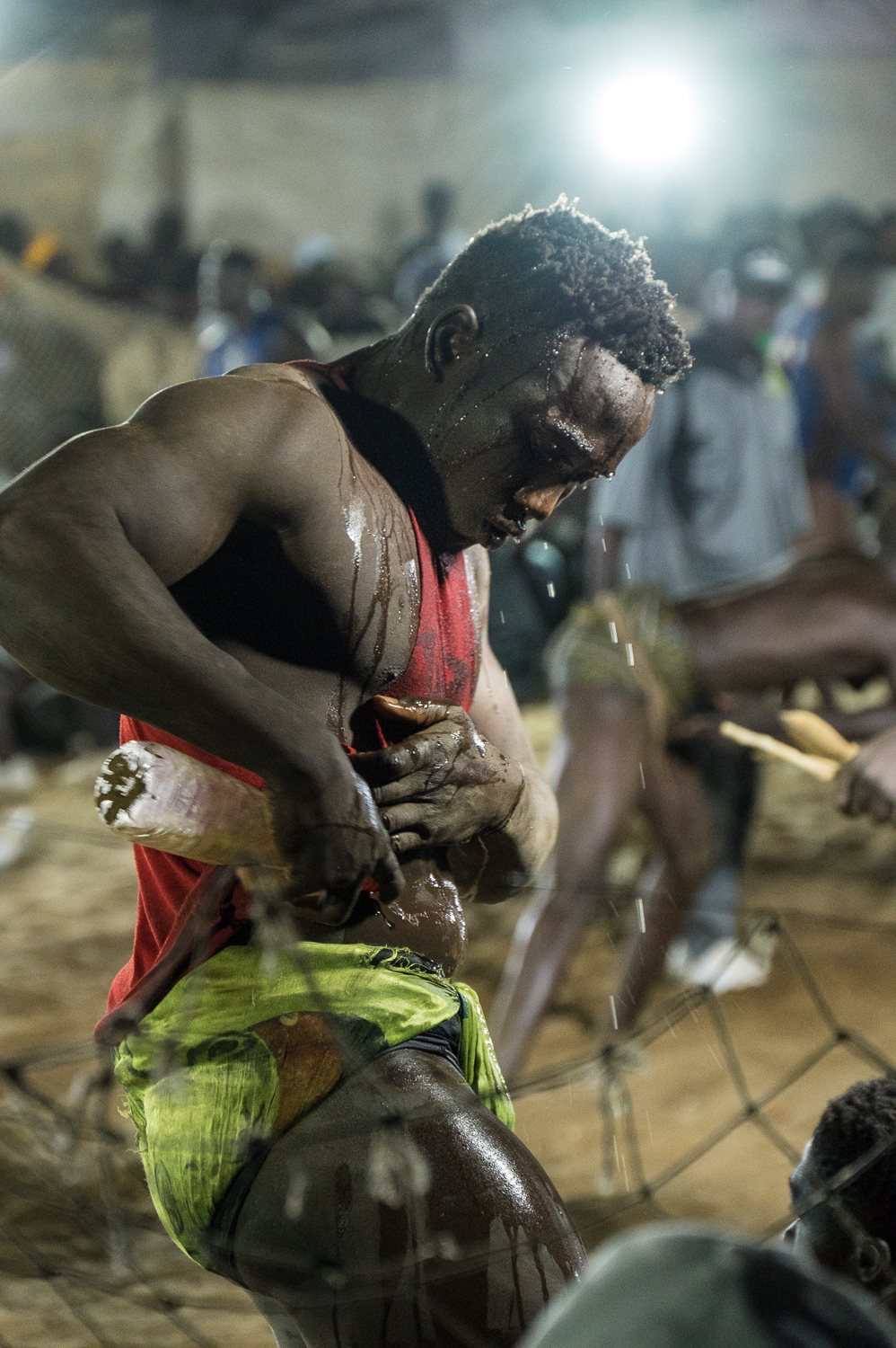 Lute sénégalaise