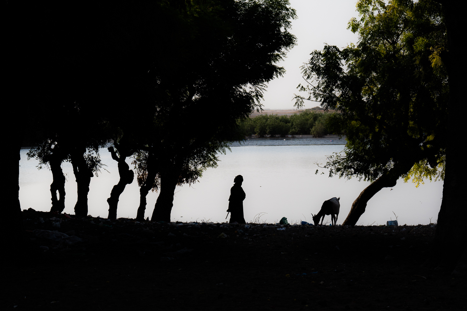 Village de Simal